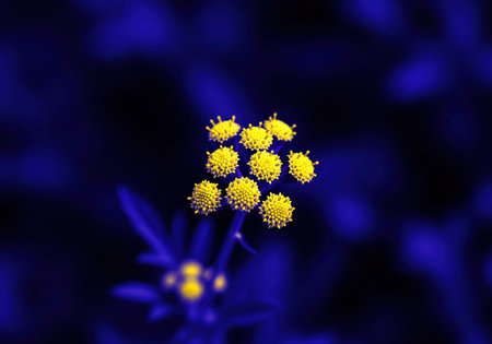 Close up of small yellow flowers with a textured surface, standing out vividly against a dark, rich blue backdrop. emphasizes contrast and natural beauty.の素材