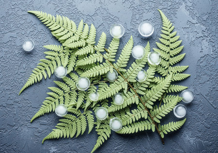 Vibrant green fern fronds and clear ice spheres arranged in a flat lay composition on a dark grey textured surface. botanical elements with a cool, fresh aesthetic.の素材
