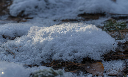 Freshly fallen snow covers the forest floor, sparkling under sunlight. delicate white crystals rest on dry pine needles and a fallen leaf, capturing the essence of a cold winter day.の素材