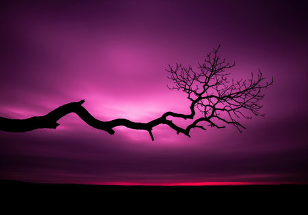 Bare gnarled tree branch silhouetted against a vibrant purple and pink sky during a dramatic sunset. the dark horizon creates a striking contrast.の素材