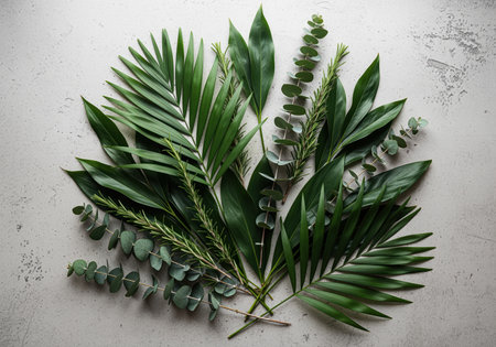 Assortment of fresh green botanical leaves, including vibrant palm fronds, aromatic rosemary sprigs, and round eucalyptus branches, artfully arranged on a textured light gray surface. natural, organic, and fresh.の素材