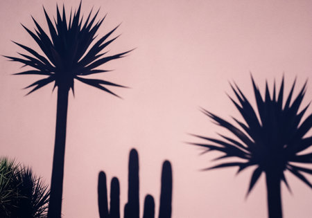 Dark shadows of desert plants, including palm trees and cacti, cast on a smooth, light pink wall under bright sunlight. creates a minimalist, abstract, and tropical aesthetic.の素材