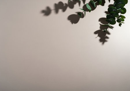 Eucalyptus branch with round green leaves casting a soft shadow onto a smooth, neutral beige surface. minimalist aesthetic background providing ample copy space.の素材