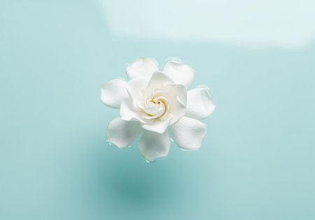 Pristine white gardenia flower floating on a smooth, tranquil surface of pale turquoise water, symbolizing purity, spa, and freshness. minimalist composition.の素材