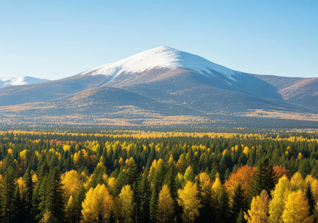 Vibrant autumn forest featuring green pine trees and yellow deciduous trees stretching toward the horizon. a majestic snow capped mountain peak dominates the background under a clear blue sky. scenic nature landscape.の素材