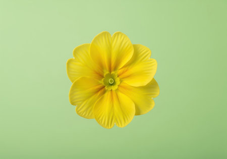 Pristine yellow primrose flower blossom floating against a soft pastel green background. ideal for spring, nature, beauty, freshness, and minimalist design concepts.の素材