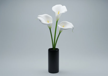 Three elegant white calla lilies with green stems arranged in a minimalist black ceramic vase, photographed in a studio against a smooth light gray backdrop.の素材