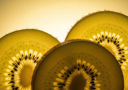Three overlapping slices of golden kiwi fruit are dramatically illuminated from behind, highlighting the fibrous structure and dark seeds. perfect for healthy eating themes.の素材