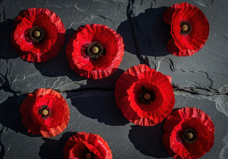 Bright crimson poppy flowers scattered across a textured, dark gray slate stone surface. dramatic lighting emphasizes contrast and texture, symbolizing remembrance and nature beauty.の素材
