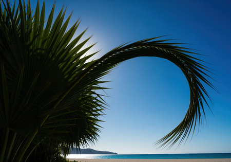 Dramatic silhouette of a curved palm frond against a vivid blue sky, highlighting the bright tropical sun and distant beach landscape.の素材
