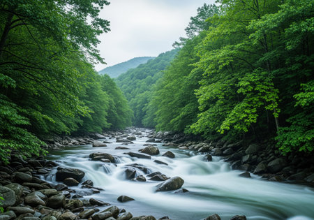 Rushing mountain river flowing rapidly over smooth rocks in a dense, lush green forest valley. long exposure photography creates a silky, smooth water effect, symbolizing nature, flow, and wilderness.の素材