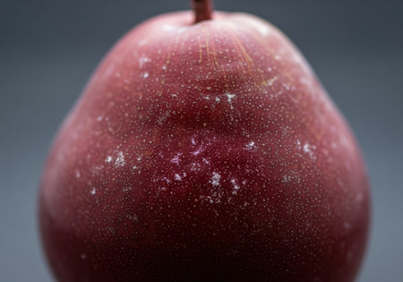 Single dark red pear captured in a detailed macro photograph, highlighting the rough, speckled skin texture. the fruit is ripe and visually appealing, set against a dark, neutral background, emphasizing freshness and natural detail.の素材