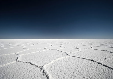 Vast, dry, cracked white salt flat stretching to the horizon under a deep, clear blue sky. extreme environment, natural texture, and minimalist landscape.の素材