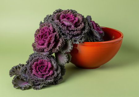 Purple and dark green ornamental kale flowering cabbage overflowing from a vibrant terracotta orange earthenware bowl. studio still life arrangement set against a soft sage green background, emphasizing texture and contrast.の素材