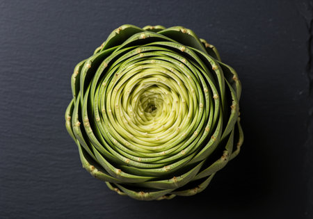 Close up of a perfectly formed, verdant green artichoke heart, meticulously peeled to reveal its tender inner leaves. the vegetable is set against a dark background.の素材