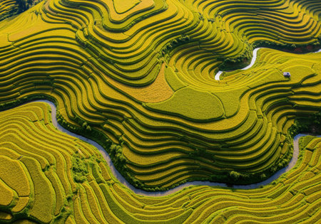 Golden and green terraced rice fields forming intricate geometric patterns across a hillside, captured from an aerial perspective. a winding stream flows through the agricultural landscape, highlighting sustainable farming and natural beauty.の素材