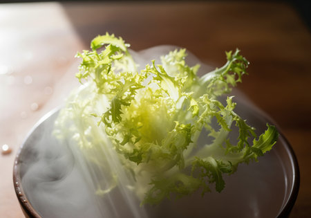 Frisee lettuce leaves, vibrant green and yellow, are dramatically presented in a ceramic bowl enveloped by cold vapor smoke. high end gourmet ingredient symbolizing freshness, culinary art, and fine dining.の素材