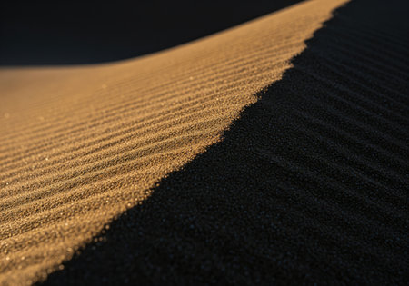 Close up view of wind blown sand ripples on a dune crest, emphasizing the strong contrast created by harsh sunlight and deep, dark shadows.の素材