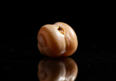 Single glistening chickpea captured in an extreme macro close up against a dramatic black background with a subtle reflection. focus on texture, detail, and healthy food concepts.の素材