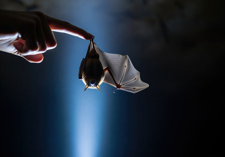 Small bat hanging upside down, delicately gripping a human finger against a dark, dramatic background illuminated by a strong beam of light. focus on nocturnal wildlife and conservation.の素材