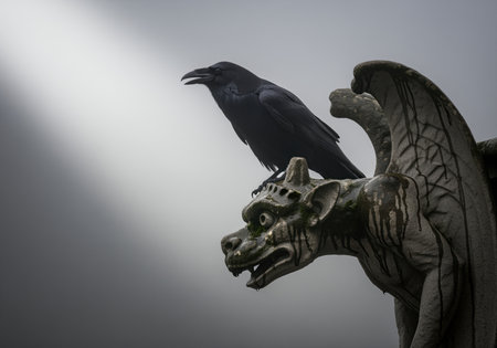 A large black raven perches on a gothic gargoyle statue, creating a dark and ominous atmosphere. perfect for themes of mystery, horror, or fantasy.の素材