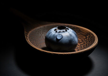 Single fresh blueberry, plump and glistening with a water droplet, dramatically isolated on a textured wooden spoon against a deep black background. healthy eating concept.の素材