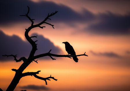 Black crow silhouette perched on a dead, gnarled tree branch against a vibrant, dramatic sunset sky featuring orange, yellow, and dark purple clouds. mysterious nature scene.の素材