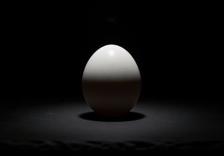 Single white chicken egg standing upright, dramatically illuminated by a spotlight, creating high contrast and deep shadows on a dark, reflective surface. isolated on black.の素材