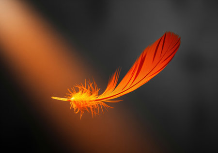 Vibrant orange feather suspended in mid air, illuminated by a dramatic beam of warm light against a deep, dark background. symbolizes lightness, freedom, and fragility.の素材