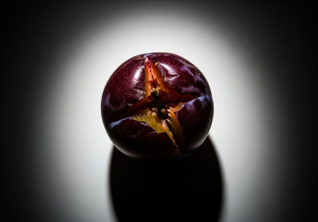 Bruised and split dark purple plum centered in a dramatic low key studio photograph. strong contrast highlights the texture and yellow interior flesh against the black background.の素材