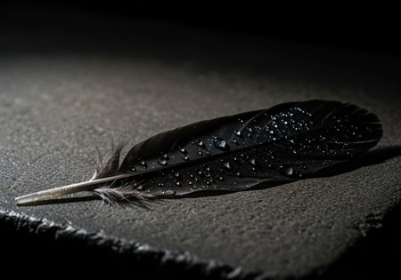 Black feather covered in glistening water droplets resting on a rough, dark gray stone surface. dramatic, moody lighting creates a mysterious and atmospheric scene, symbolizing darkness, solitude, and weight.の素材