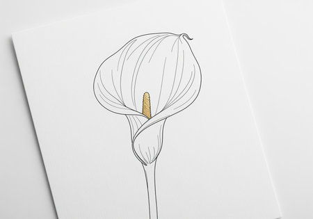 Single calla lily flower illustration in a sophisticated minimalist line art style featuring a golden spadix. perfect for wedding design, greeting card, or luxury branding.の素材