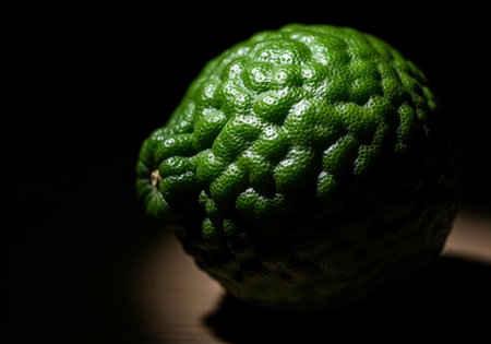 Vibrant green kaffir lime showcasing its distinctive bumpy, wrinkled skin, illuminated by strong side lighting creating deep shadows and highlighting the fruit unique surface detail.の素材
