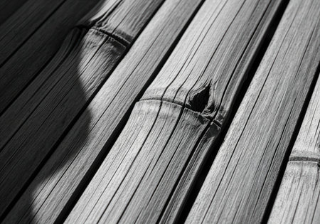 Weathered bamboo planks arranged diagonally, showcasing their rough texture, deep grain, and prominent knots. the monochrome palette emphasizes the natural patterns and aged appearance.の素材