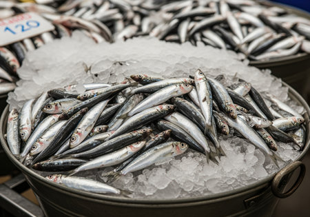 Piles of freshly caught small silver fish, such as sardines or anchovies, presented on a bed of crushed ice in a metal bucket at a bustling seafood market, ready for sale.の素材