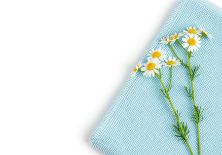 Two sprigs of fresh chamomile flowers with white petals and yellow centers resting on a soft light blue fabric. clean, natural, and minimalist composition, perfect for wellness, beauty, or herbal concepts.の素材