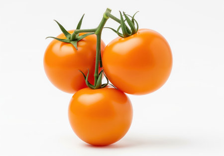 Cluster of three fresh, ripe orange tomatoes on a green stem, showcasing their smooth, glossy skin. perfect for healthy food concepts and nutrition.の素材