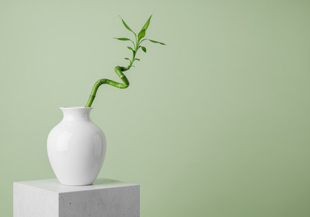 Elegant lucky bamboo plant in a modern white ceramic vase on a concrete pedestal, set against a clean light green background. symbolizes good fortune, growth, and tranquility in a minimalist studio setting.の素材