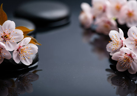 A tranquil spa arrangement featuring delicate light peach blossoms and dark polished stones, evoking a sense of calm and relaxation. ideal for wellness and beauty themes.の素材