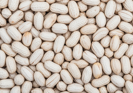An overhead macro view of numerous raw peanuts in their pale, off white shells, forming a dense, textured background. ideal for food, snack, or healthy eating themes.の素材