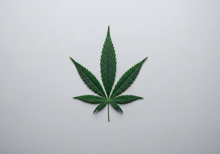 Single green cannabis sativa leaf, perfectly isolated, displaying intricate details, natural texture, and vibrant color for botanical studies, wellness, and legal product applications.の素材