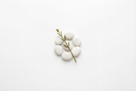 A minimalist composition featuring a cluster of smooth white pebbles arranged in a circle with a delicate green branch resting on top against a plain white surface.の素材