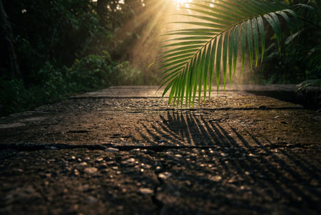 Green tropical palm frond hangs over a textured dark concrete path illuminated by bright warm sunbeams that create dramatic shadows and a misty atmosphere during a peaceful morning.の素材