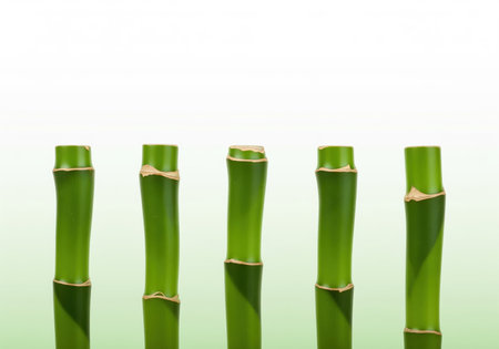 Five vibrant green bamboo stalks are perfectly aligned in a vertical row, showcasing their fresh color and segmented structure against a clean white and light green gradient background.の素材