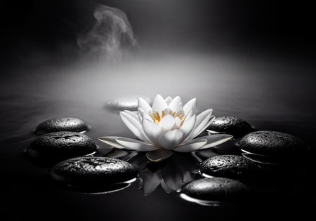 White water lily flower floating gracefully amidst smooth black spa stones on dark rippling water, with soft mist rising. Peaceful and tranquil scene for meditation, wellness, and relaxation.の素材