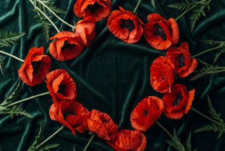 Bright red poppy flowers arranged in a circular wreath shape on wrinkled dark green velvet fabric create a moody floral frame with empty space in the center.の素材