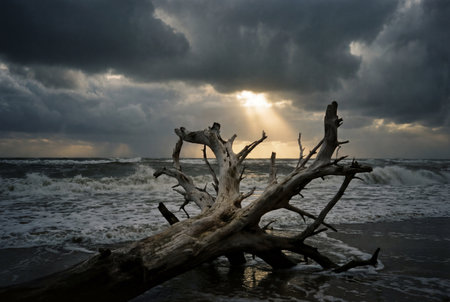 A massive weathered driftwood log lies stranded on the wet sandy shore while rough waves crash in the background under a moody grey sky pierced by bright dramatic sunbeams breaking through clouds.の素材