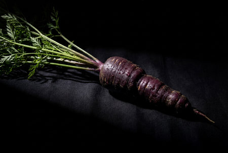 A single fresh organic purple carrot with bright green leaves and glistening water droplets sits on a dark surface under dramatic lighting to highlight the rich color and wet texture of the vegetable.の素材