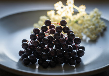A close-up of a single, exceptionally juicy elderberry cluster with shimmery, deep purple-black berries, artfully presented on a delicate plate with elderflower blossoms in the backgroundの素材