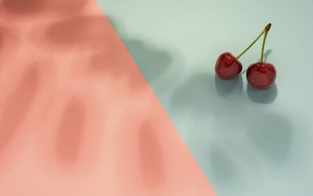 Cherry fruit with tree leaves shadow on blue and pink background - summer conceptの写真素材